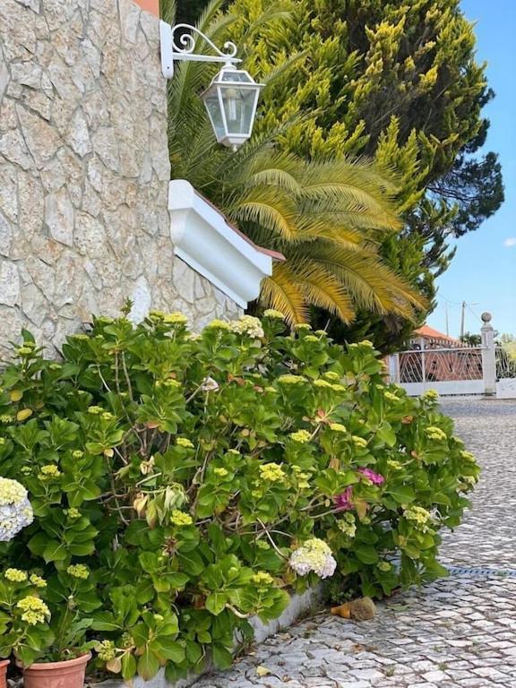 Villa Quinta Do Alto Dos Pinheiros à São João da Ribeira Extérieur photo