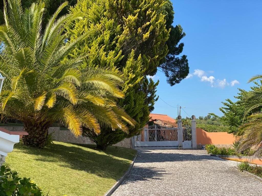 Villa Quinta Do Alto Dos Pinheiros à São João da Ribeira Extérieur photo
