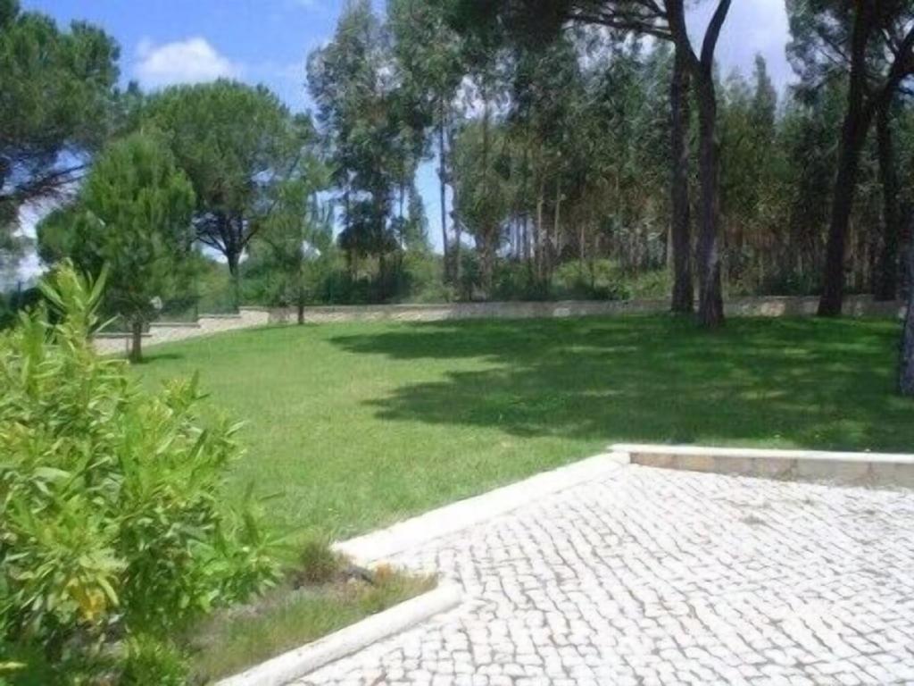 Villa Quinta Do Alto Dos Pinheiros à São João da Ribeira Extérieur photo